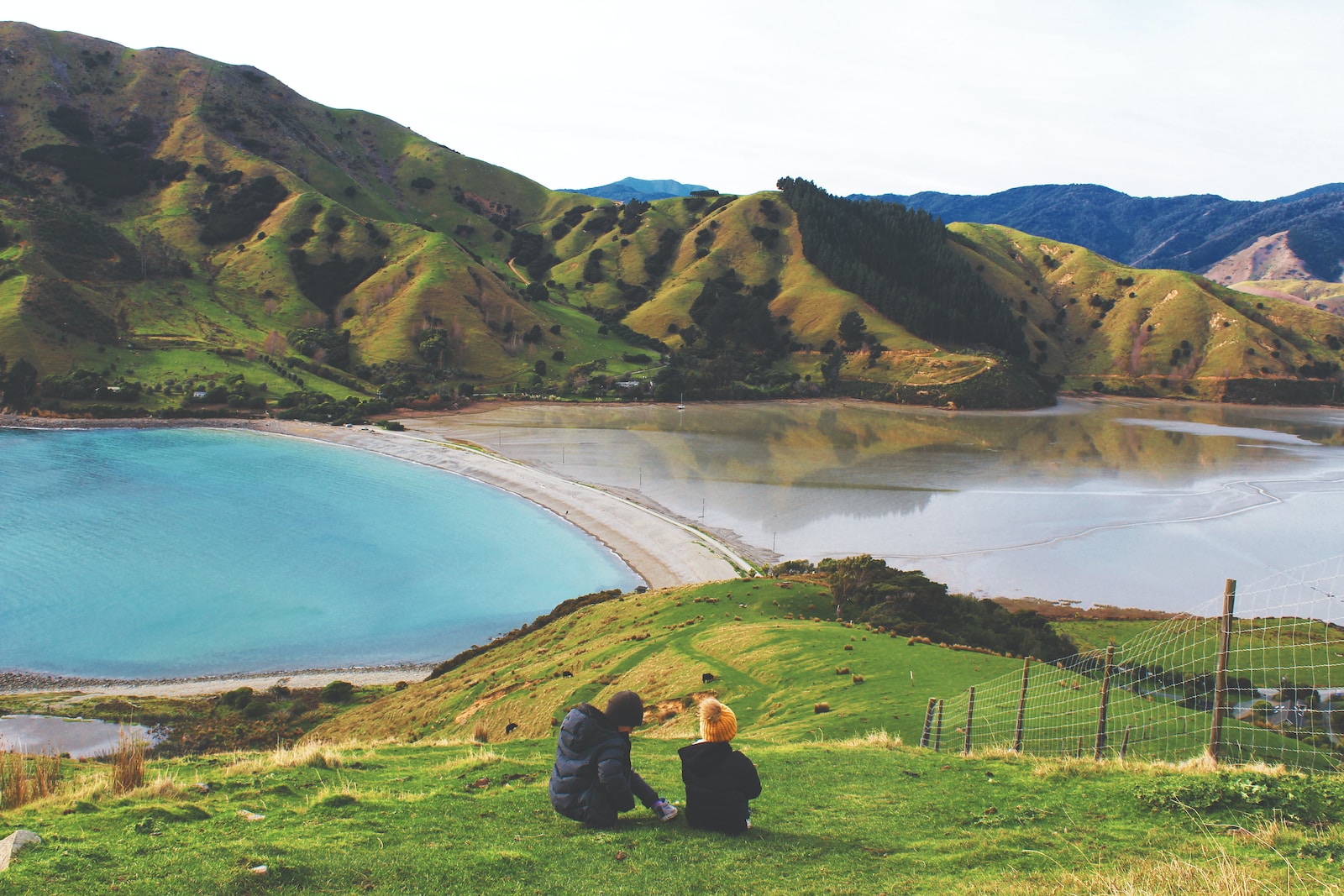 man and woman participating in a work and travel New Zealand program sitting on grass field near lake during daytime